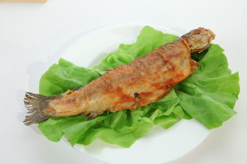fish on white plate with green lettuce