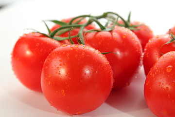 Raw shiny tomato bunch