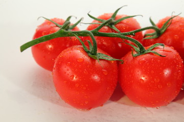 Five red tomatoes bunch