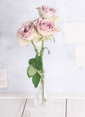 delicate pink roses in vintage, shabby chic