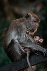 Imagen de una madre y un hijo jugando juntos en Kuala Lumpur