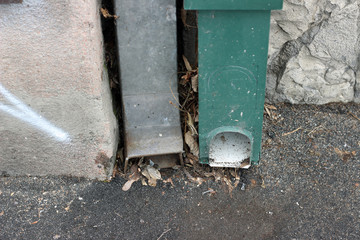 Downspouts waterspouts two rainwater drainage pipe building