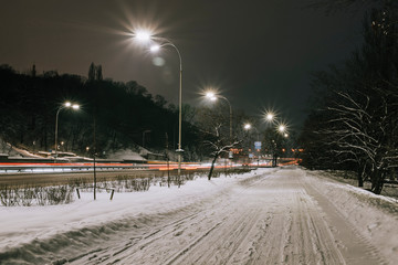 Straight winter road with tress on both sides in the city at night