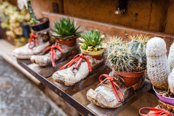 Old boots used as creative funny flower pots