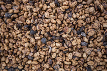 grains de café torréfiés