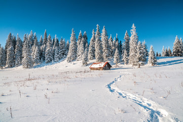 Idyllic winter scene