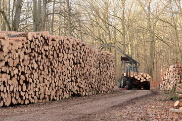 Rückezug bei der Arbeit © ReNi