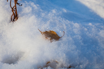 snow bubble on a leaf on a snowdrift in the woods