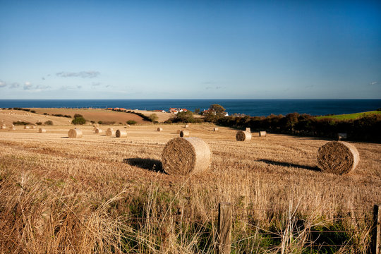 Hay Rolls, Berwickshire Coastline