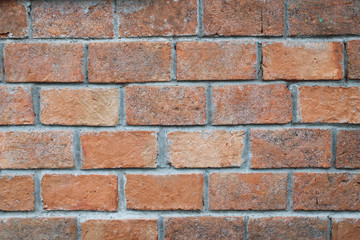 brick wall