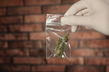 Police worker holding hemp in plastic bag, closeup. Space for text