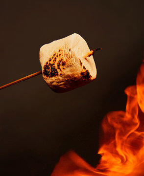roasting marshmallow