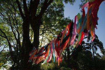 Banderas en Parque Rodó, Montevideo