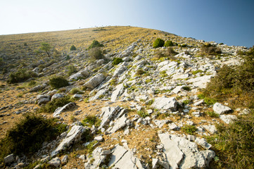Berg