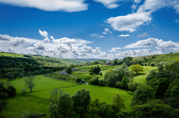 Fototapeta premium Northumberland Landscape