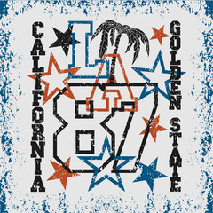 Los Angeles t-shirt, California graphic, sport