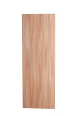 door on a white background, wooden door