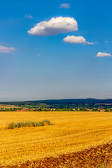 Beautiful June sky over partly plowed stubble field, South Bulgarian agricultural view