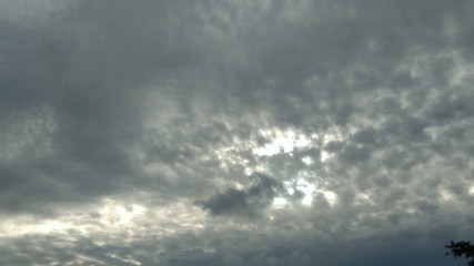 Obraz premium Regard vers les nuages