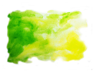 Abstract green watercolor on white background, abstract watercolor background, vector illustration