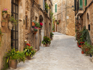 Fototapeta na wymiar Calle rústica con macetas y flores en Valldemossa, Mallorca