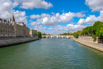 Fototapeta na wymiar A bridge crossing the River Seine with buildings on one side and a park on the other in Paris France