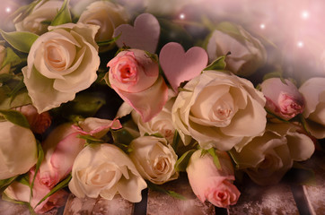 Roses in pastel color on vintage background