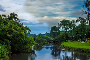 lake in forest