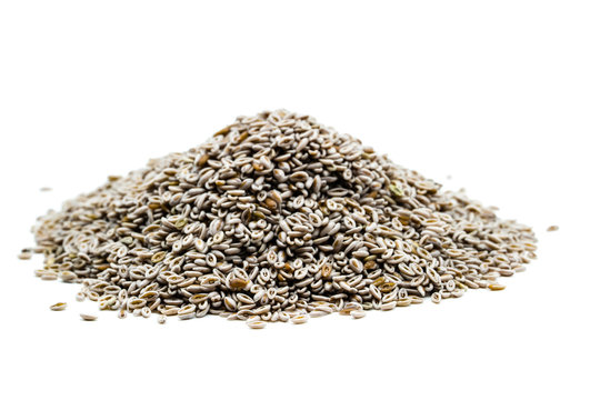 Whole psyllium isolated on white background