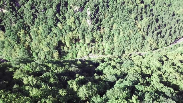 Aerial view of forest in pyrenean countryside, Aude region of France