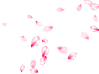 Spring tree flowers parts, airy flying petals