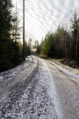 Snowy gravel road in the woods