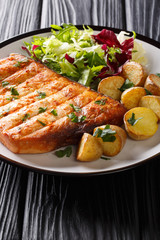Healthy lunch grilled swordfish fillet with fried potatoes and fresh salad close-up on a plate. vertical