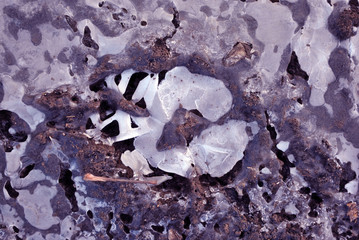 Dog marks (imprints) on soil with ice inside, close up detail, natural background texture detail top view