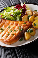 Grilled swordfish fillet with fried potatoes and fresh salad close-up on a plate on a table. vertical