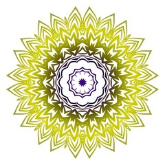 Beautiful round flower mandala. Vector illustration. Abstract