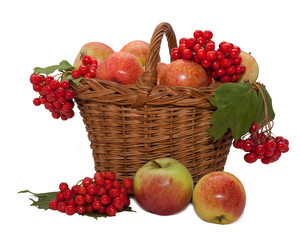 Basket of wicker vines with apples and clusters of viburnum with green leaves. Isolated on white
