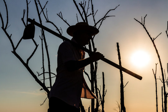 silhouette of man with hoe, background with dry trees and sky without clouds and strong sun