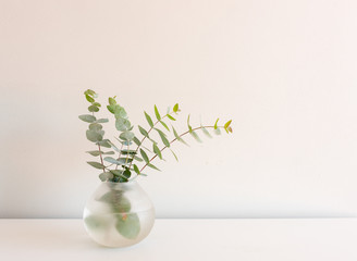 Close up of small round glass vase of eucalyptus leaves on white shelf against neutral wall...