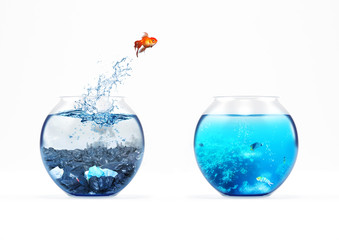 Improvement and moving concept with a goldfish jumping from a dirty aquarium to a clean one