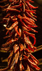 Obraz premium bunch of red pepper