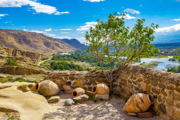 Beautiful view of the national pitcher and a Bush of olive-tree on background of the valley of the...