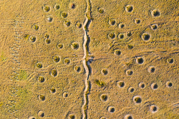 Military polygon, above view