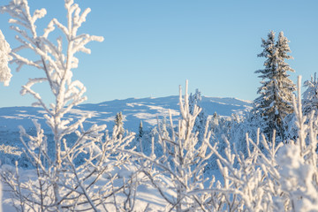 Winter at Lenningen, Etnedal, Norway