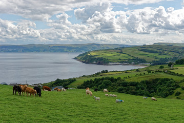 Nordirland - Cushendun - Küste