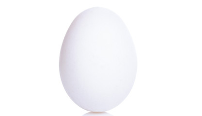 white chicken egg on white background with reflection