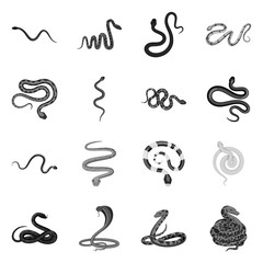 Isolated object of harm and bite symbol. Collection of harm and reptile vector icon for stock.