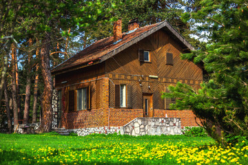Old vintage, wooden traditional house in the mountains. Home in the forest.