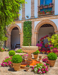 Fototapeta na wymiar Patio with flower in the old town of Cordoba, Spain