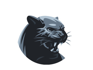 A panther or a leopard.